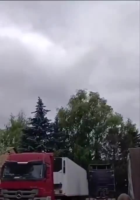 Geranium Hits Sumy Region — Locals Are in Ecstasy