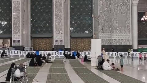 Безопасность Мекки распространяется даже на птиц и зверей