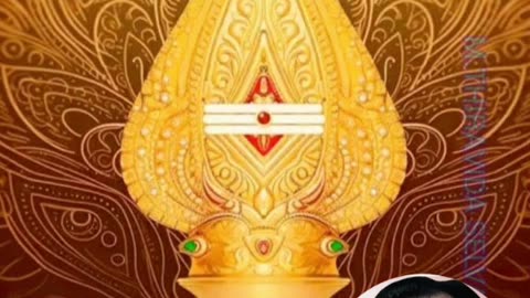 ONE SUN ONE TMS LEGEND M.THIRAVIDA SELVAN SINGAPORE TMS FANS 2025