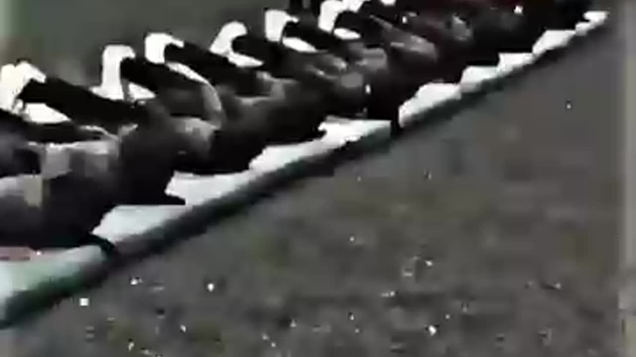 NSG COMMANDO TRAINING❣️||🥀 CONFIDENT LEVEL HIGH 𝐏𝐥𝐞𝐚𝐬𝐞 𝐋𝐢𝐤𝐞❣️𝐒𝐡𝐚𝐫𝐞📱𝐂𝐨𝐦𝐦𝐞𝐧𝐭✨& 𝐒𝐮𝐛𝐬𝐜𝐫𝐢𝐛𝐞🤞💯🎯𝐓𝐚𝐫𝐠𝐞𝐭👉15𝐊