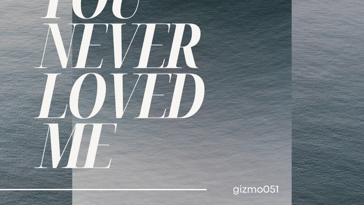 gizmo051- you never loved me [Official Video]