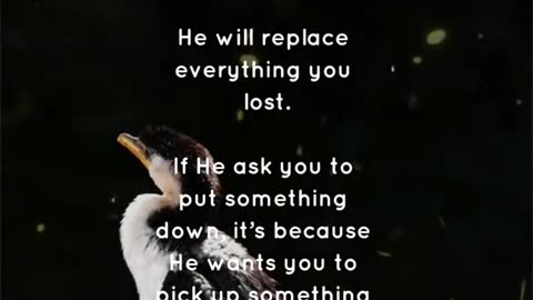 🙏🌟 Prayer & Praise | Honoring God’s Glory Every Day | InGodWeTrustDaily