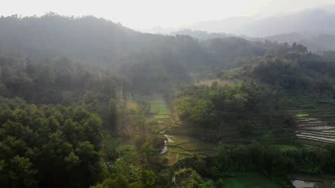 Rice Field / Terraces On Mountain Valleys And Plateaus