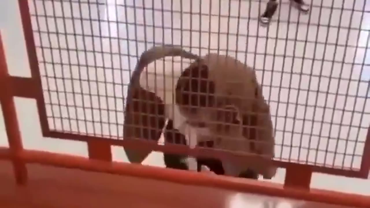 Teacher fights student for calling him the N word