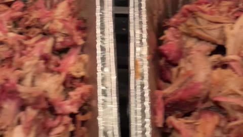 Party Food! Wait.....