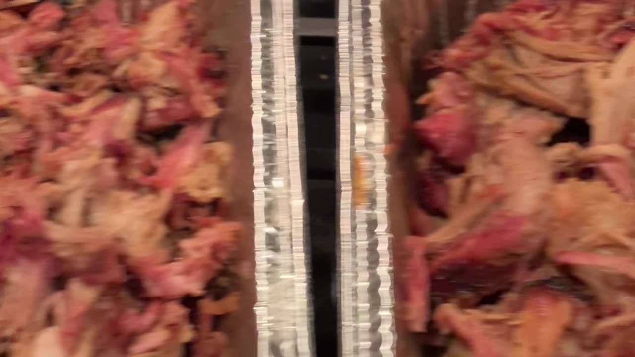 Party Food! Wait.....