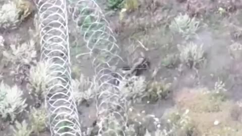 Russian Soldier in a Spot of Bother