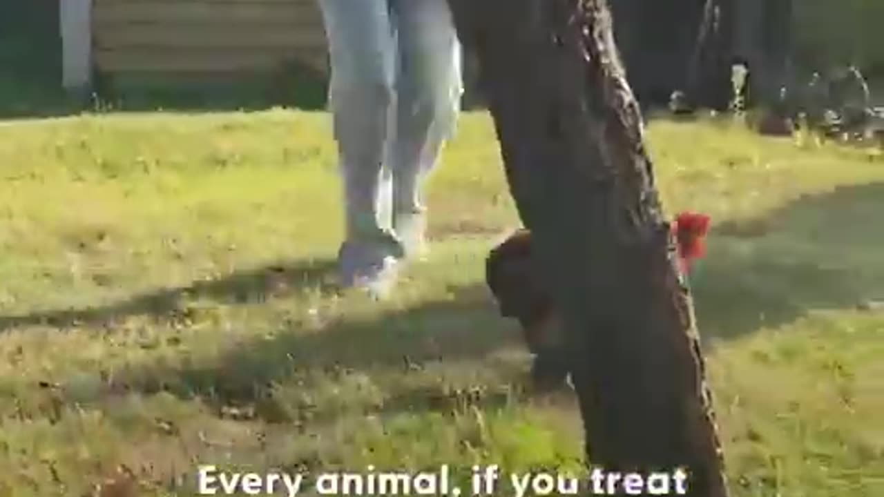 In my lane, moisturized