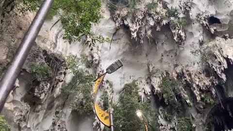 4k nature video free download Nature drone video no copyright