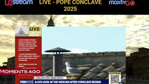 POPE ELECTED! in Rome LIVE -Maryjo, Matko nasza módl się za nami!