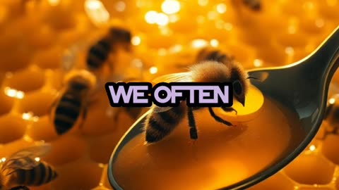 Learn How Teamwork Makes Dreams Work From Bee!