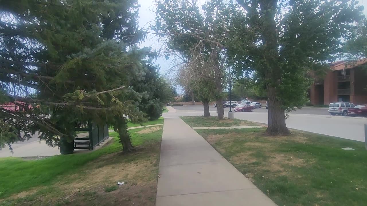 Speedwalking