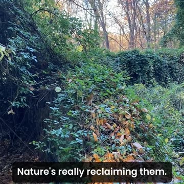 CAN YOU BELIEVE THERE WAS A BUILDING?