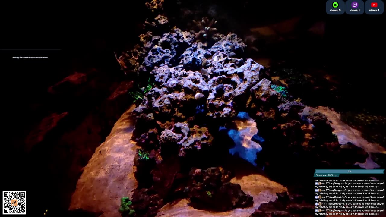 24/7 Real Live Reef Stream