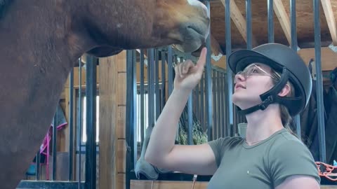 Cheeky Horse Mouths Helmet