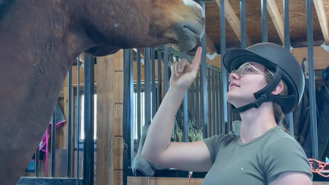 Cheeky Horse Mouths Helmet
