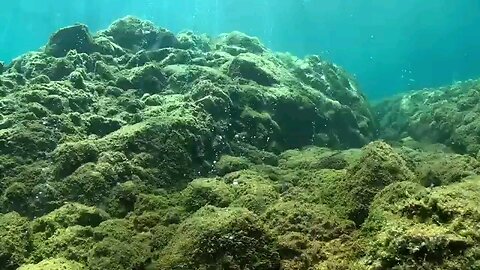 Under the sea 🌊 tour