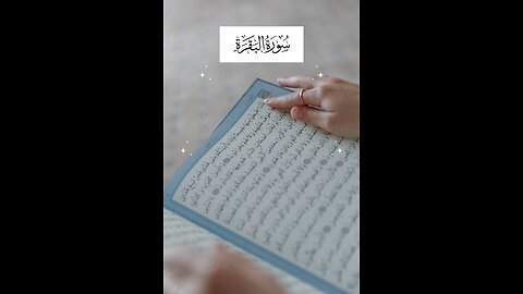 Follow if you love Allah / Surah Al Baqarah Ayat 81 #islamicreminders #quran #islam #viralvideos