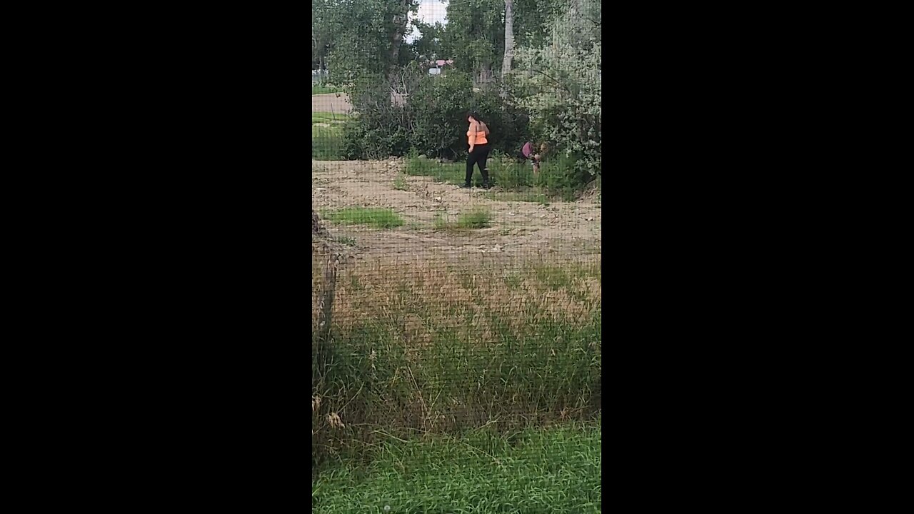 Fat, Drunk, and Stupid