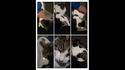 Cuddler stays in the Magic Circle always ⭕ 💕