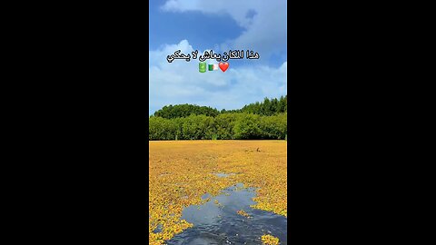 بحيرة طونقة الطارف الجزائر ALGERIA EL KALLA