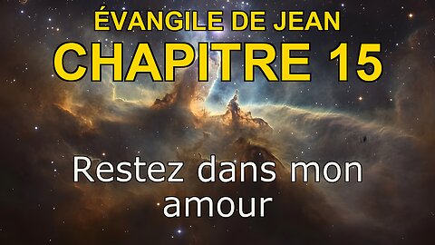 John 15 | Évangile de John Chapitre 15 | Bible in French