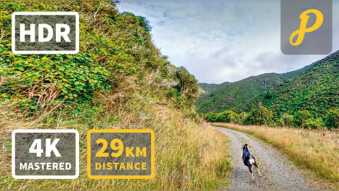 Summer Gravel Cycling 224 - Kaitoke to Cross Creek Return | 4K PREVIEW