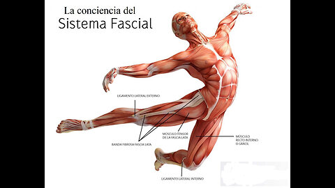 Cráneo-Sacral. Módulo 2. Clase 1 Y 2