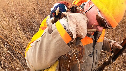 Black Friday shopping