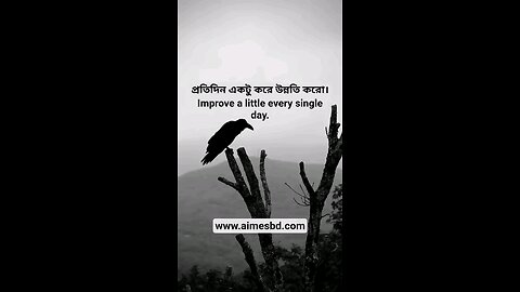 Improve a little every single day.