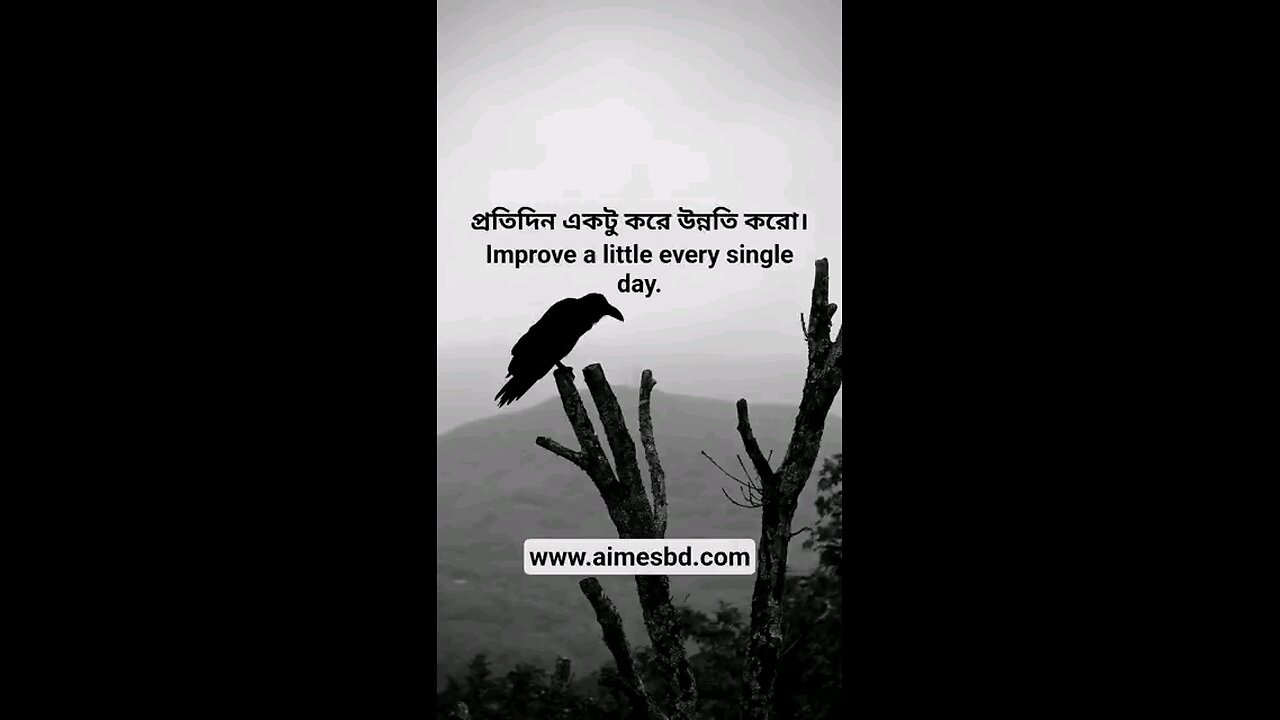 Improve a little every single day.