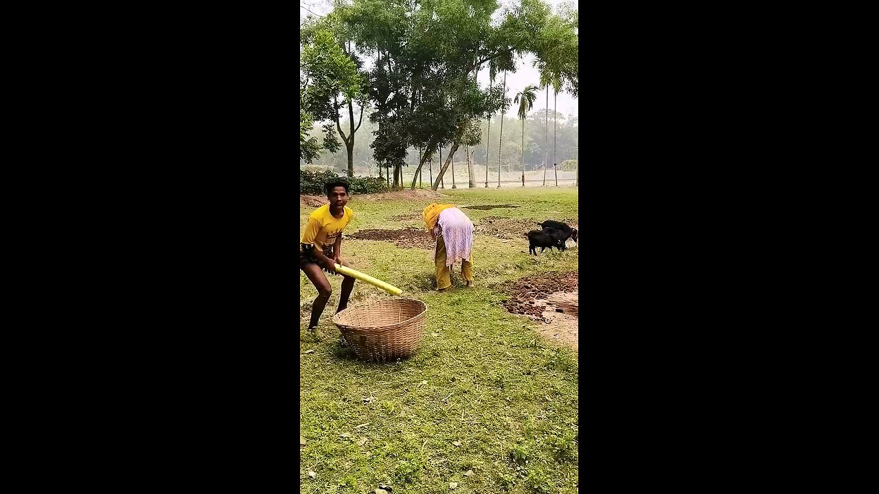 satisfying Video
