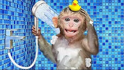 KiKi Monkey bathing in toilet after harvesting fruits on farm and play with puppy