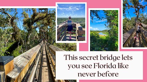 Myakka River State Park: Hiking, Wildlife, and the Famous Canopy Walkway 