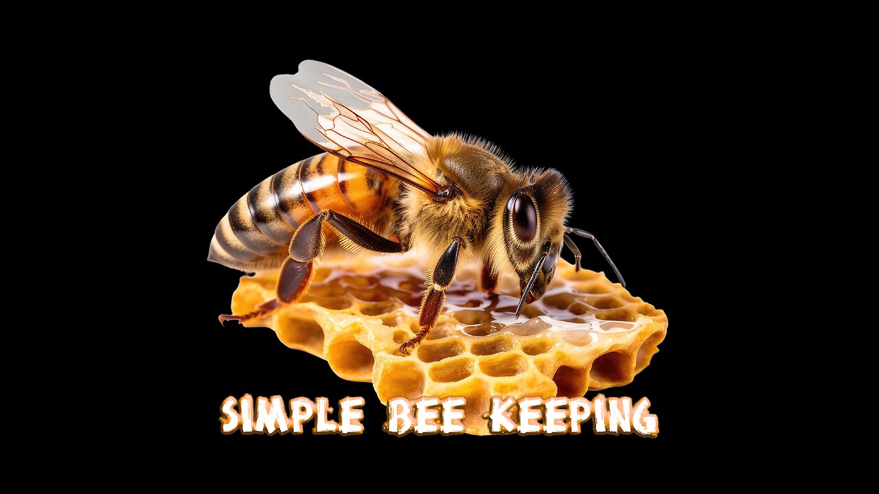 Scientists warn of severe honeybee losses in 2025