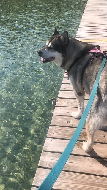 Monday June 9, What is Faith?