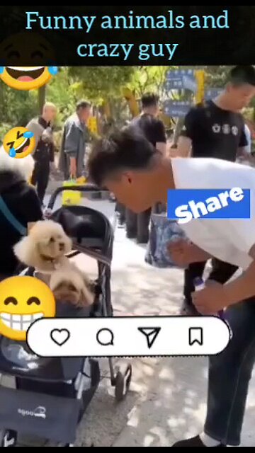 Funny animals and crazy guy 2