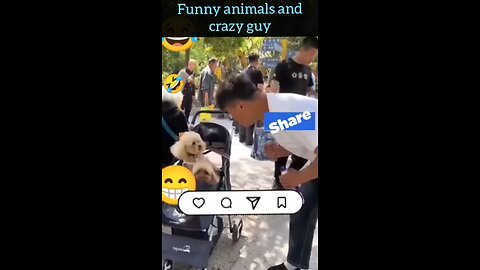 Funny animals and crazy guy 2