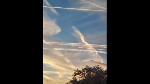 Bioweapon Targeting Outbreak in Florida?