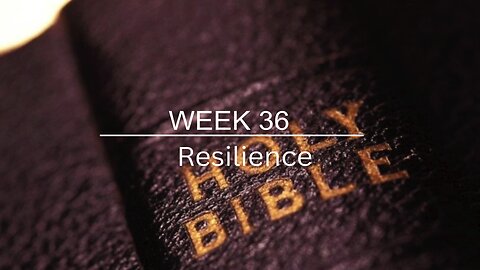 CWW Week 36 - Resilience
