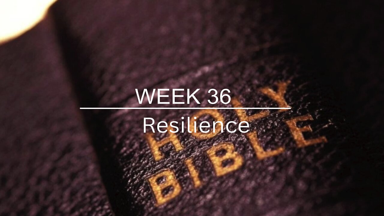 CWW Week 36 - Resilience