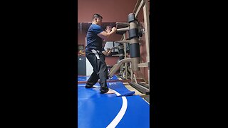 WTD Wooden Dummy Combination 13