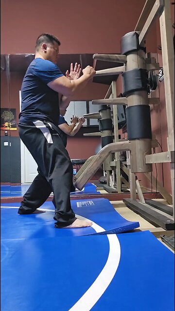 WTD Wooden Dummy Combination 13