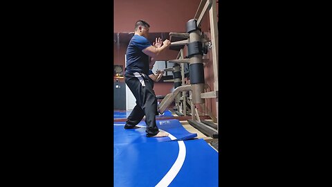 WTD Wooden Dummy Combination 13