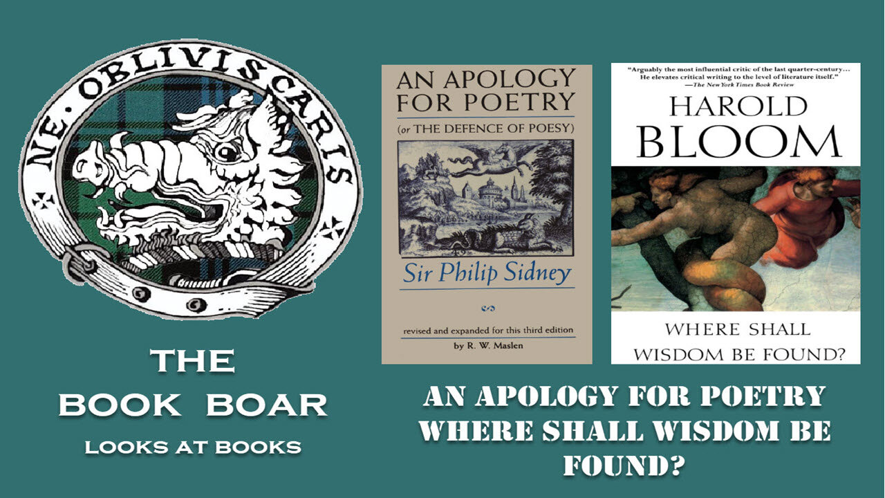 #19 An Apology for Poetry and Where Shall Wisdom Be Found
