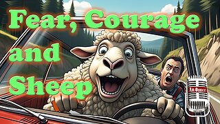 Stop Letting Fear Control Your Life: Lessons from Sheep