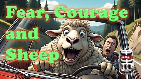 Stop Letting Fear Control Your Life: Lessons from Sheep