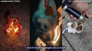 PEOPLE ARE BURNING THEIR LABUBU DOLLS AFTER A VIRAL THEORY SPARKS PANIC