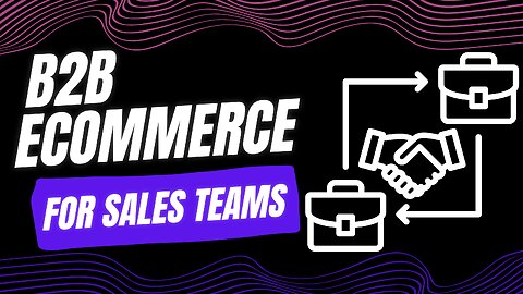 E545:📦B2B ECOMMERCE FOR SALES TEAMS | ALEX SAYYAH - ALERAN SOFTWARE | B2B COMMERCE CORNER #110