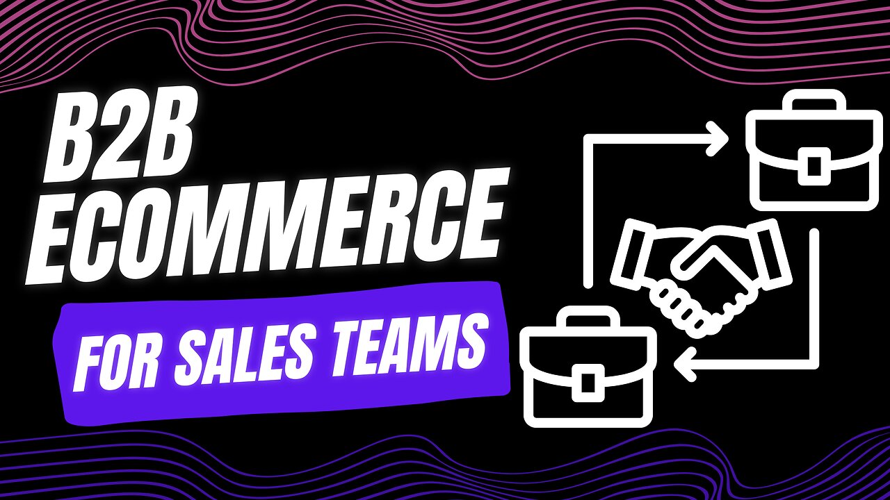 E545:📦B2B ECOMMERCE FOR SALES TEAMS | ALEX SAYYAH - ALERAN SOFTWARE | B2B COMMERCE CORNER #110